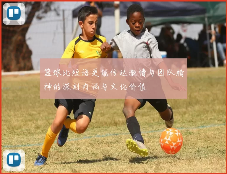 篮球比短语更能传达激情与团队精神的深刻内涵与文化价值