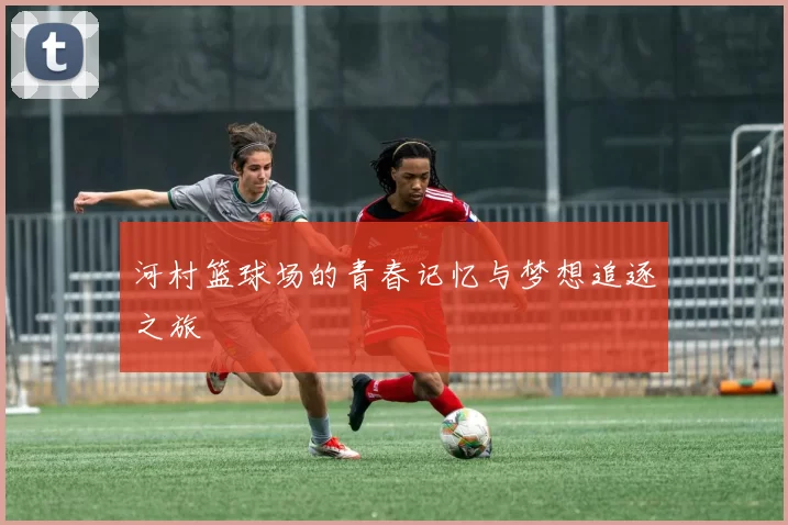 河村篮球场的青春记忆与梦想追逐之旅